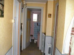 Photo n°3