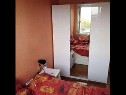 Photo n°8