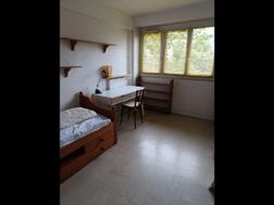 Photo n°2