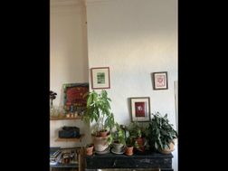 Photo n°5