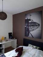 Photo n°2