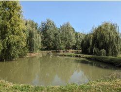 Photo n°2