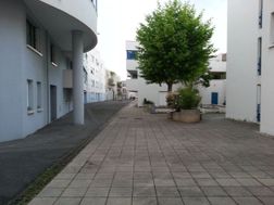 Photo n°3