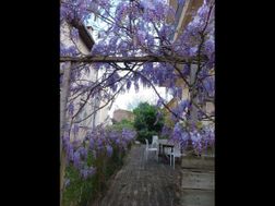 Photo n°2
