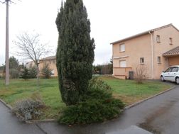 Photo n°1