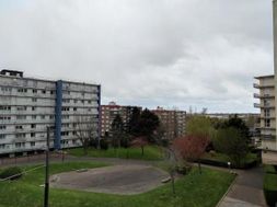 Photo n°8