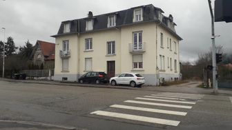 Photo n°4
