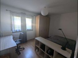 Photo n°6