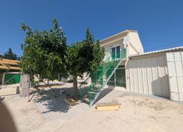 Photo n°4