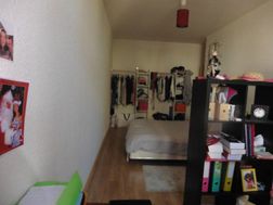 Photo n°8