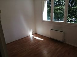 Photo n°4