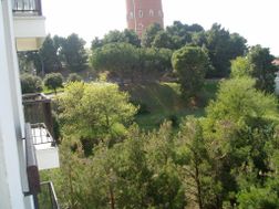 Photo n°5