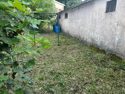 Photo n°6