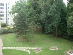 Photo n°4