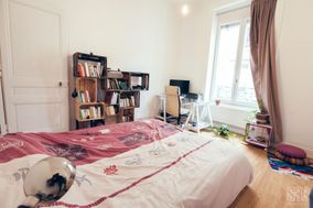 Photo n°6