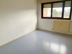 Photo n°4