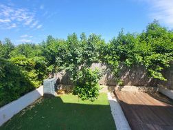 Photo n°2