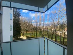 Photo n°6