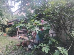 Photo n°2