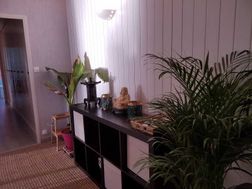 Photo n°4