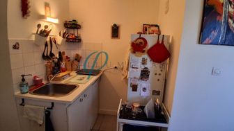 Photo n°4