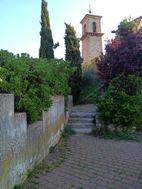 Photo n°6