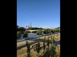 Photo n°4