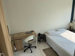 Photo n°2