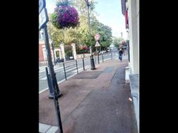 Photo n°15