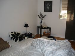 Photo n°4