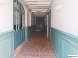 Photo n°8