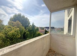 Photo n°6