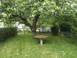 Photo n°6