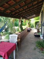 Photo n°5