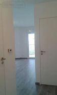 Photo n°7