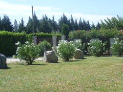 Photo n°1
