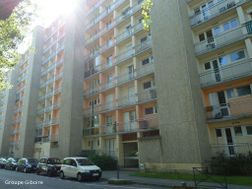 Photo n°6