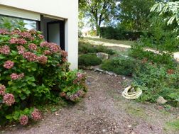 Photo n°1
