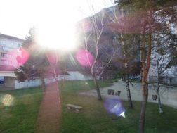 Photo n°4