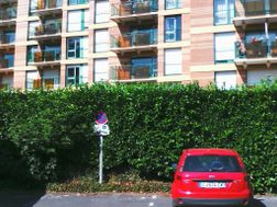 Photo n°2