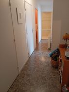 Photo n°5