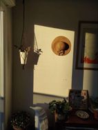 Photo n°4