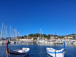 Photo n°1
