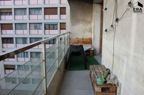 Photo n°5