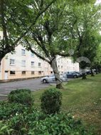 Photo n°2