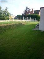 Photo n°15