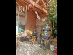 Photo n°6