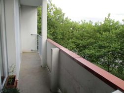 Photo n°3
