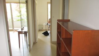 Photo n°4