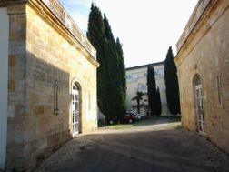 Photo n°6